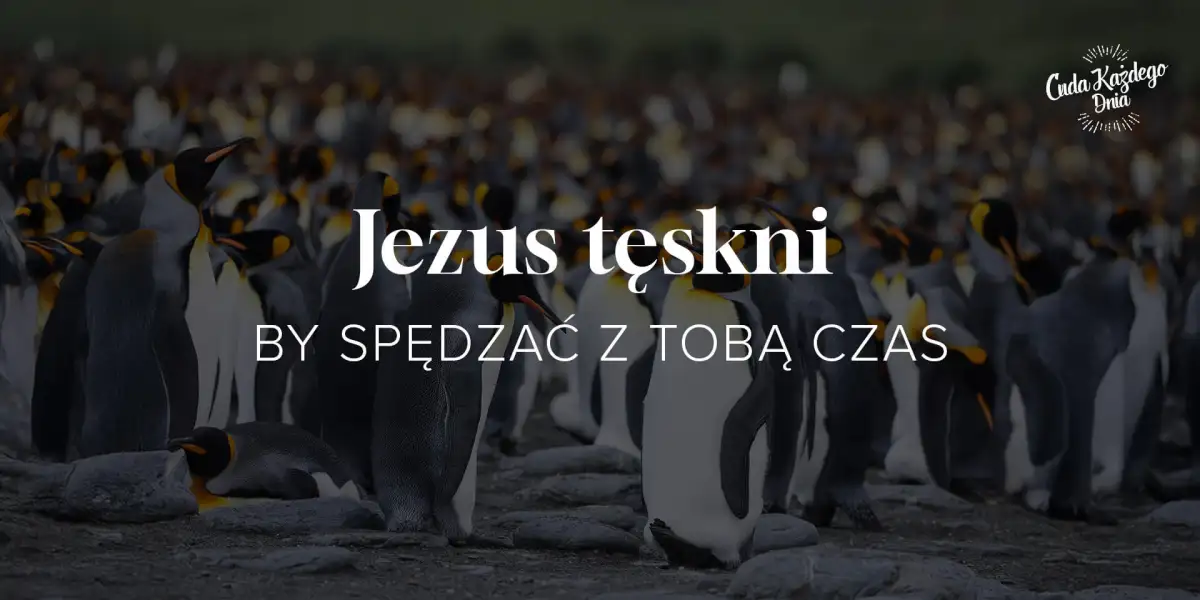 Cuda Każdego Dnia - ON SŁYSZY TWÓJ GŁOS!